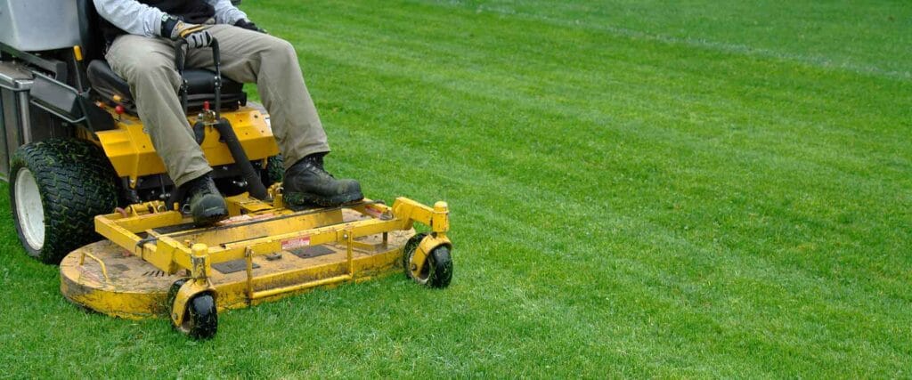 Lawn Mowing Services