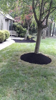 Garden Mulching Services
